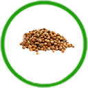  Hạt cây thảo dược