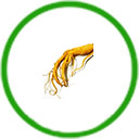  Rễ cây thảo được